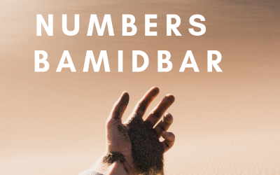 Numbers/ BaMidbar