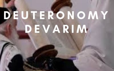 Deuteronomy/Devarim